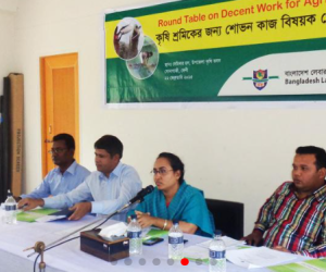 Promotion of Decent Work for Agricultural Workers in Bangladesh